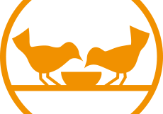 bz