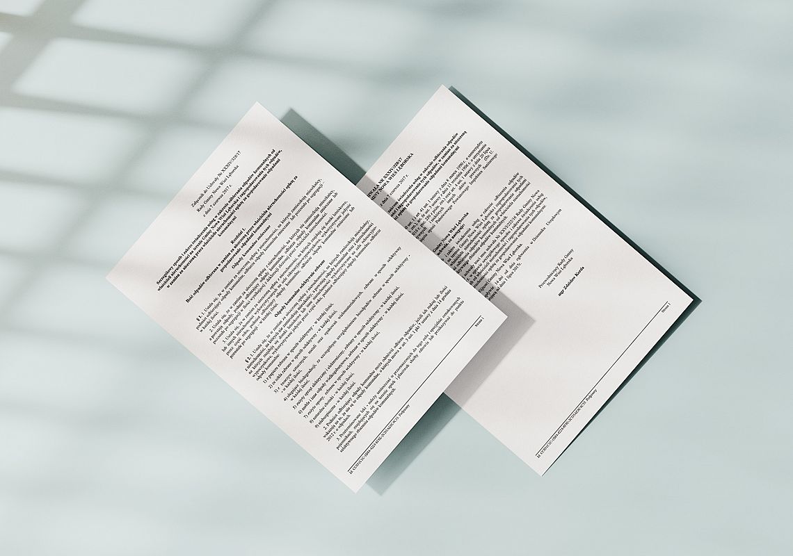 Grafika 1: Szczegółowy sposób i zakres świadczenia usług
