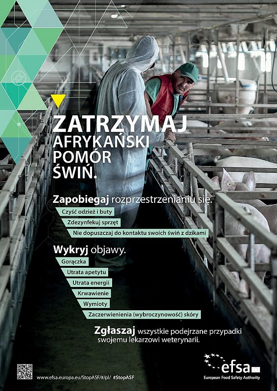 Grafika dekoracyjna. grafika