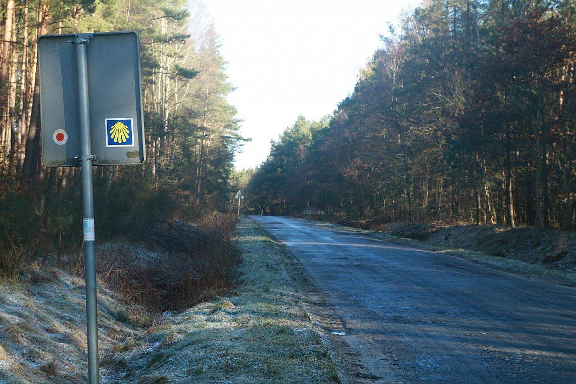 Droga asfaltowa prowadząca przez las, przed remontem.