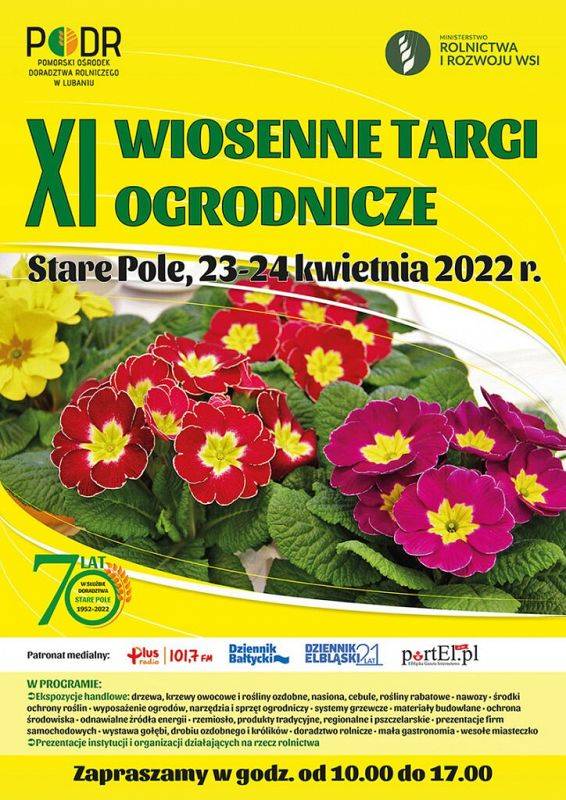 Element dekoracyjny. grafika