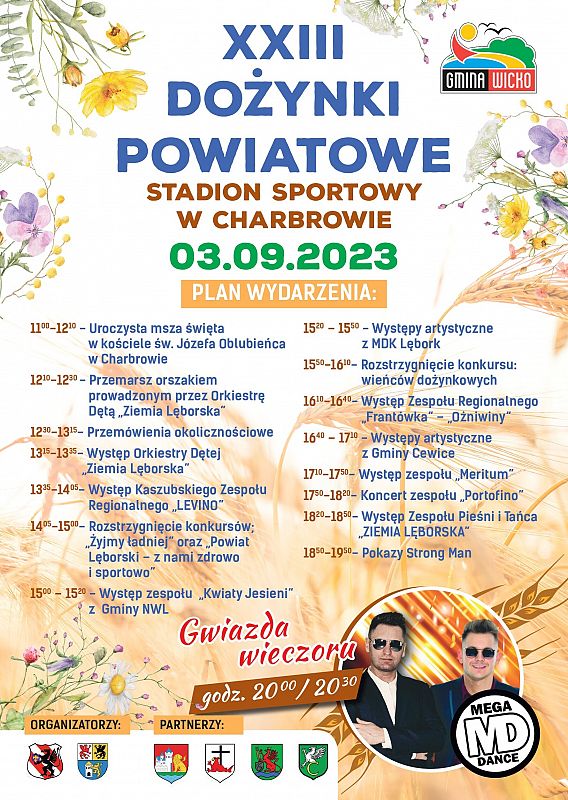 Grafika dekoracyjna. grafika