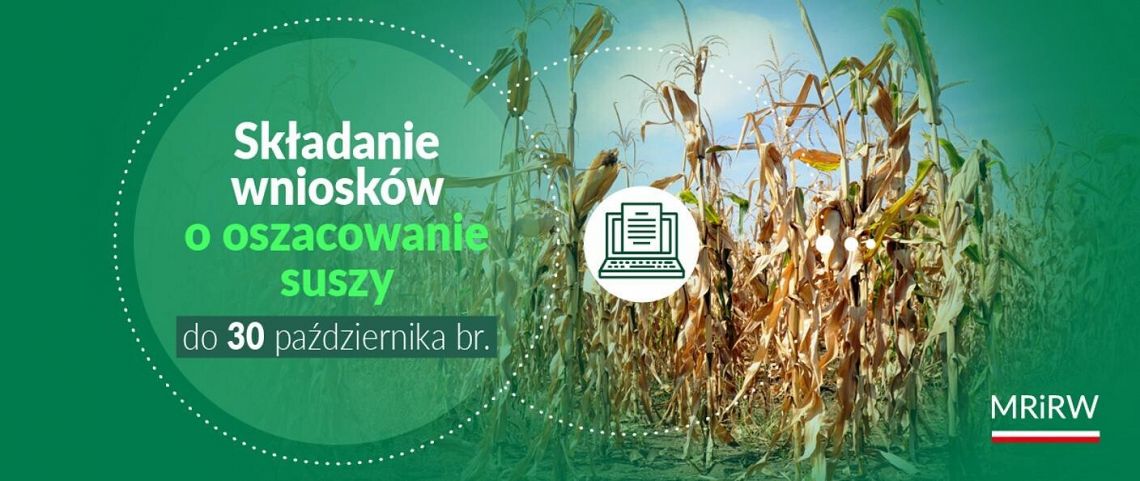 grafika dekoracyjna. grafika