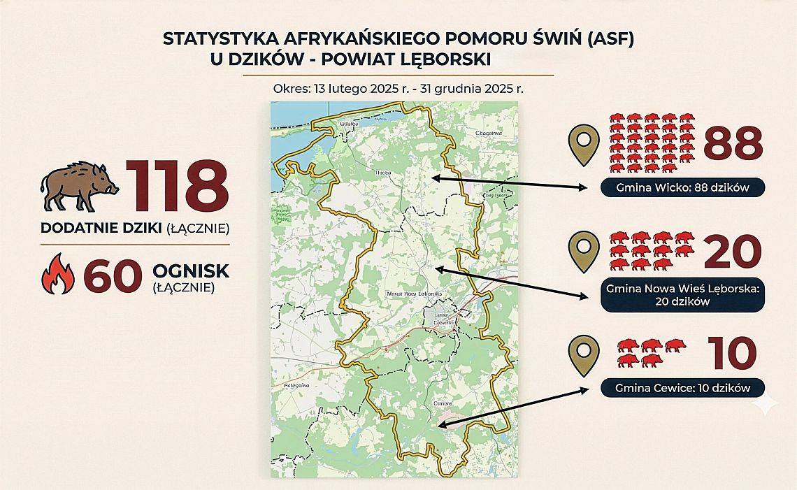 Grafika 1: Nowe ogniska ASF u dzików w powiecie lęborskim