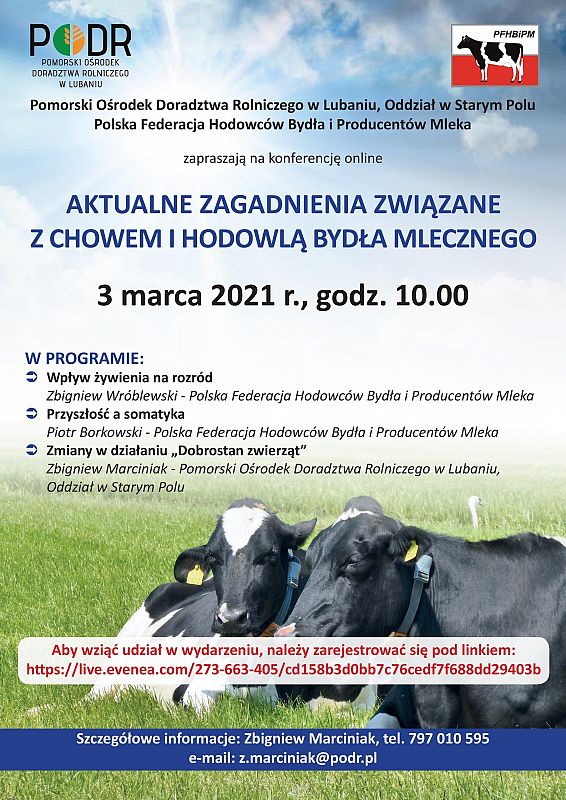 Plakat: Pomorski Ośrodek Doradztwa Rolniczego w Lubaniu, Oddział w Starym Polu Polska Federacja Hodowców Bydła i Producentów Mleka  zapraszają na konferencję online 3 marca 2021 r., godz. 10:00.