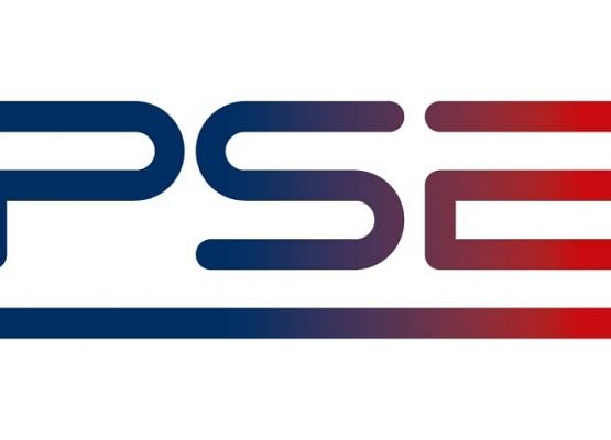 Logotyp Polskich Sieci Elektroenergetycznych