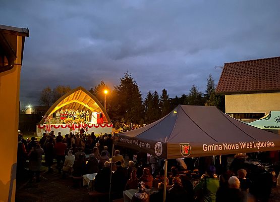 Publiczność podczas koncertu w Mostach.