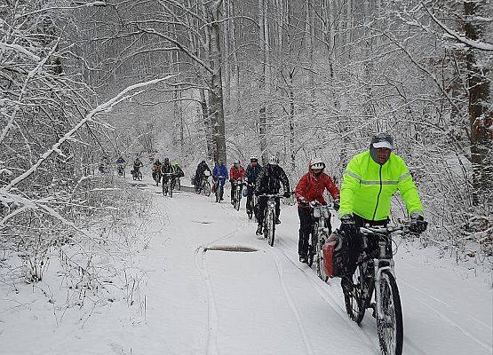 Uczestnicy rowerowej trasy rajdu w trakcie przejazdu przez ośnieżony las.