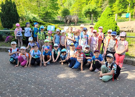 Grafika 32: Fotorelacja z wyjazdów dzieci do gdańskiego ZOO