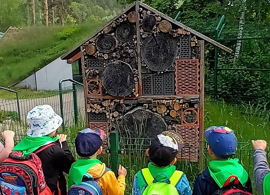 Grafika 3: Fotorelacja z wyjazdów dzieci do gdańskiego ZOO