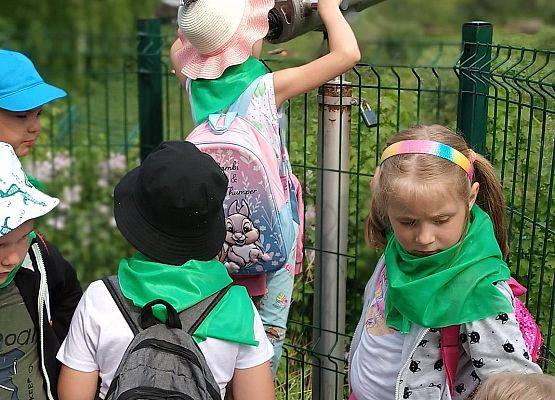 Grafika 6: Fotorelacja z wyjazdów dzieci do gdańskiego ZOO