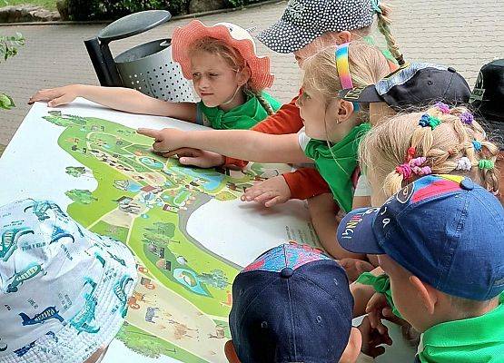 Grafika 7: Fotorelacja z wyjazdów dzieci do gdańskiego ZOO