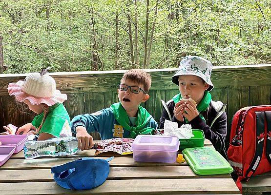 Grafika 9: Fotorelacja z wyjazdów dzieci do gdańskiego ZOO