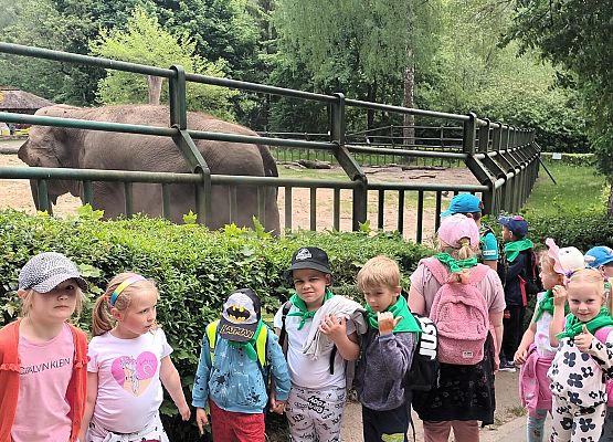 Grafika 10: Fotorelacja z wyjazdów dzieci do gdańskiego ZOO