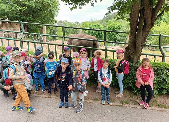 Grafika 26: Fotorelacja z wyjazdów dzieci do gdańskiego ZOO