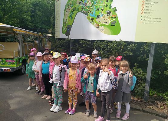 Grafika 27: Fotorelacja z wyjazdów dzieci do gdańskiego ZOO