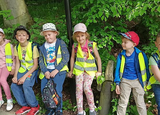 Grafika 15: Fotorelacja z wyjazdów dzieci do gdańskiego ZOO