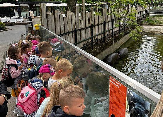 Grafika 23: Fotorelacja z wyjazdów dzieci do gdańskiego ZOO
