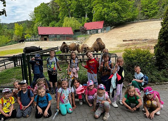 Grafika 24: Fotorelacja z wyjazdów dzieci do gdańskiego ZOO