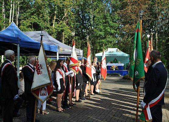 Poczty sztandarowe lokalnych szkół i organizacji stoją wzdłuż alei na cmentarzu w Krępie Kaszubskiej.