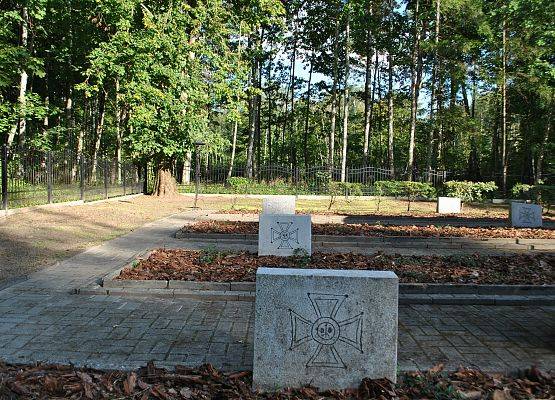 Pomniki na cmentarzu w Krepie Kaszubskiej.