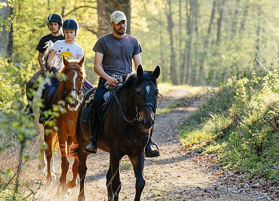 Kilku jeźdźców na koniach na drodze leśnej.