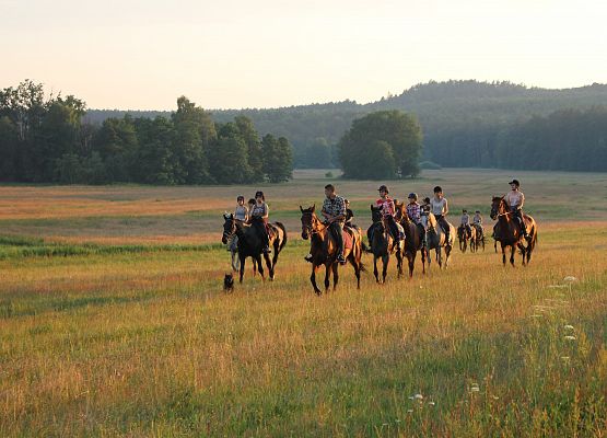 Kilkunastu jeźdźców na koniach jedzie po łące.