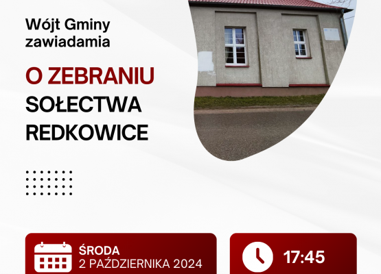 Grafika 10: Wybory sołtysów i rad sołeckich