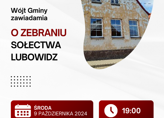 Grafika 14: Wybory sołtysów i rad sołeckich