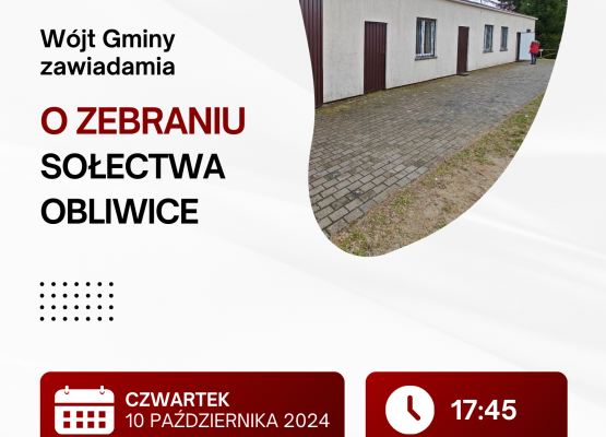 Grafika 15: Wybory sołtysów i rad sołeckich