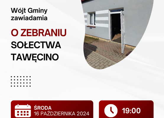 Grafika 19: Wybory sołtysów i rad sołeckich