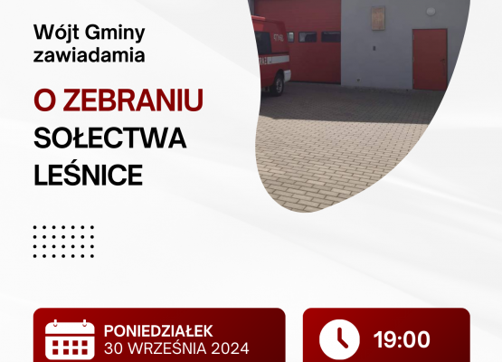 Grafika 7: Wybory sołtysów i rad sołeckich