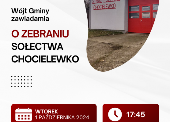 Grafika 8: Wybory sołtysów i rad sołeckich
