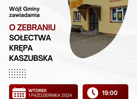 Grafika 9: Wybory sołtysów i rad sołeckich