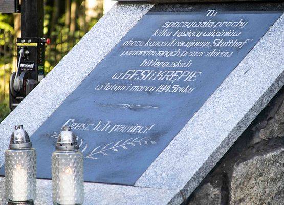 Grafika 25: Uroczystości ku czci pomordowanych więźniów Obozu Koncentracyjnego Stutthof (relacja)