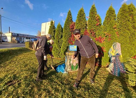 Grafika 2: Lęborskie Pola Nadziei - sadziliśmy żonkile