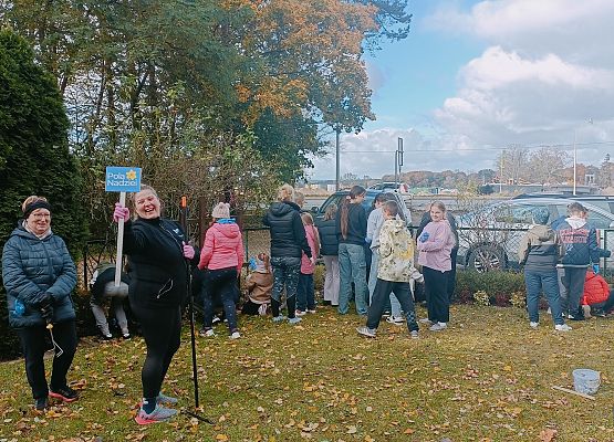 Grafika 15: Lęborskie Pola Nadziei - sadziliśmy żonkile