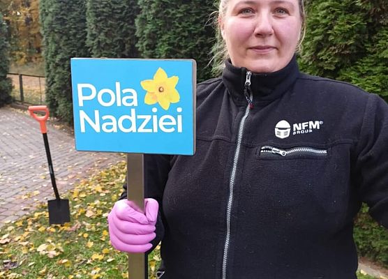 Grafika 13: Lęborskie Pola Nadziei - sadziliśmy żonkile