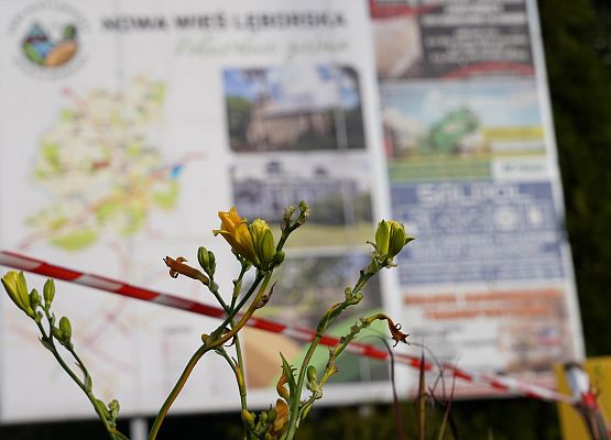 Grafika 7: Naturalnie zielona gmina