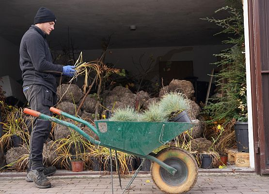 Grafika 2: Naturalnie zielona gmina