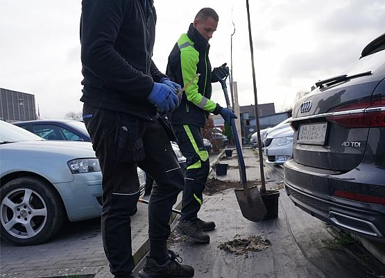 Grafika 3: Naturalnie zielona gmina