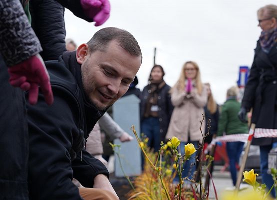 Grafika 6: Urzędnicy dla hospicjum, żonkile przed urzędem gminy