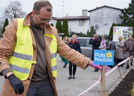 Grafika 8: Urzędnicy dla hospicjum, żonkile przed urzędem gminy