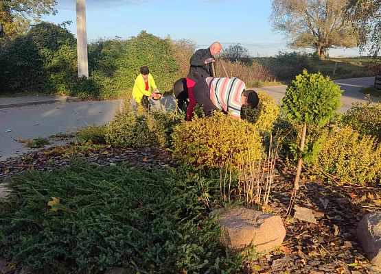 Grafika 16: Kolejne sołectwa i placówki dołączyły do akcji sadzenia żonkili