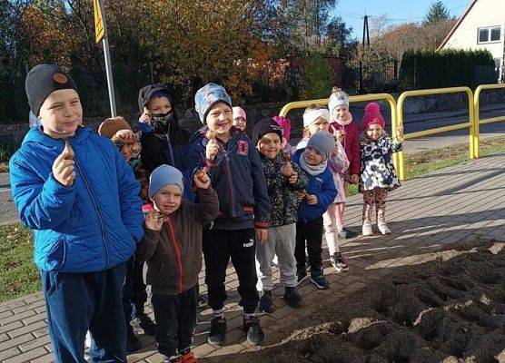 Grafika 19: Kolejne sołectwa i placówki dołączyły do akcji sadzenia żonkili