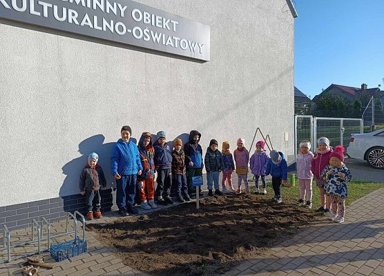 Grafika 17: Kolejne sołectwa i placówki dołączyły do akcji sadzenia żonkili