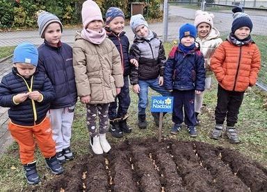 Grafika 1: Kolejne sołectwa i placówki dołączyły do akcji sadzenia żonkili