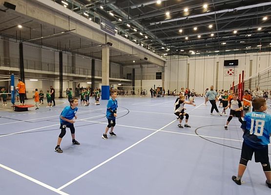 Grafika 2: Ogólnopolski Turniej Minipiłki Siatkowej o Puchar Małgorzaty Glinki w Wałczu