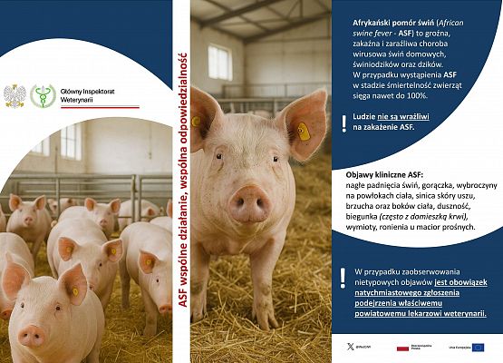 Grafika 1: Stwierdzenie nowego przypadku afrykańskiego pomoru świń (ASF)