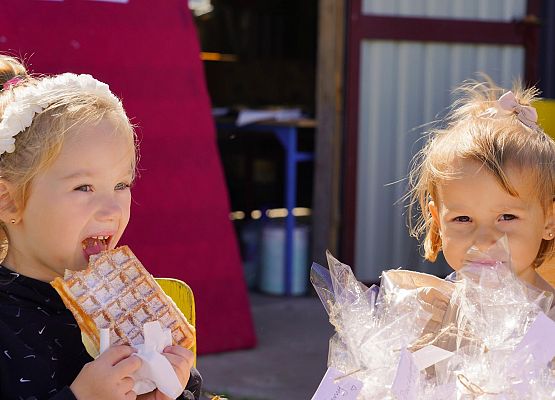 Grafika 15: Dożynki sołecko-parafialne w Garczegorzu